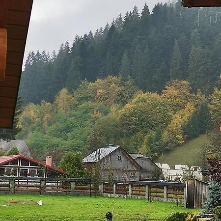 Casa De Poveste Suczawica Zewnętrze zdjęcie